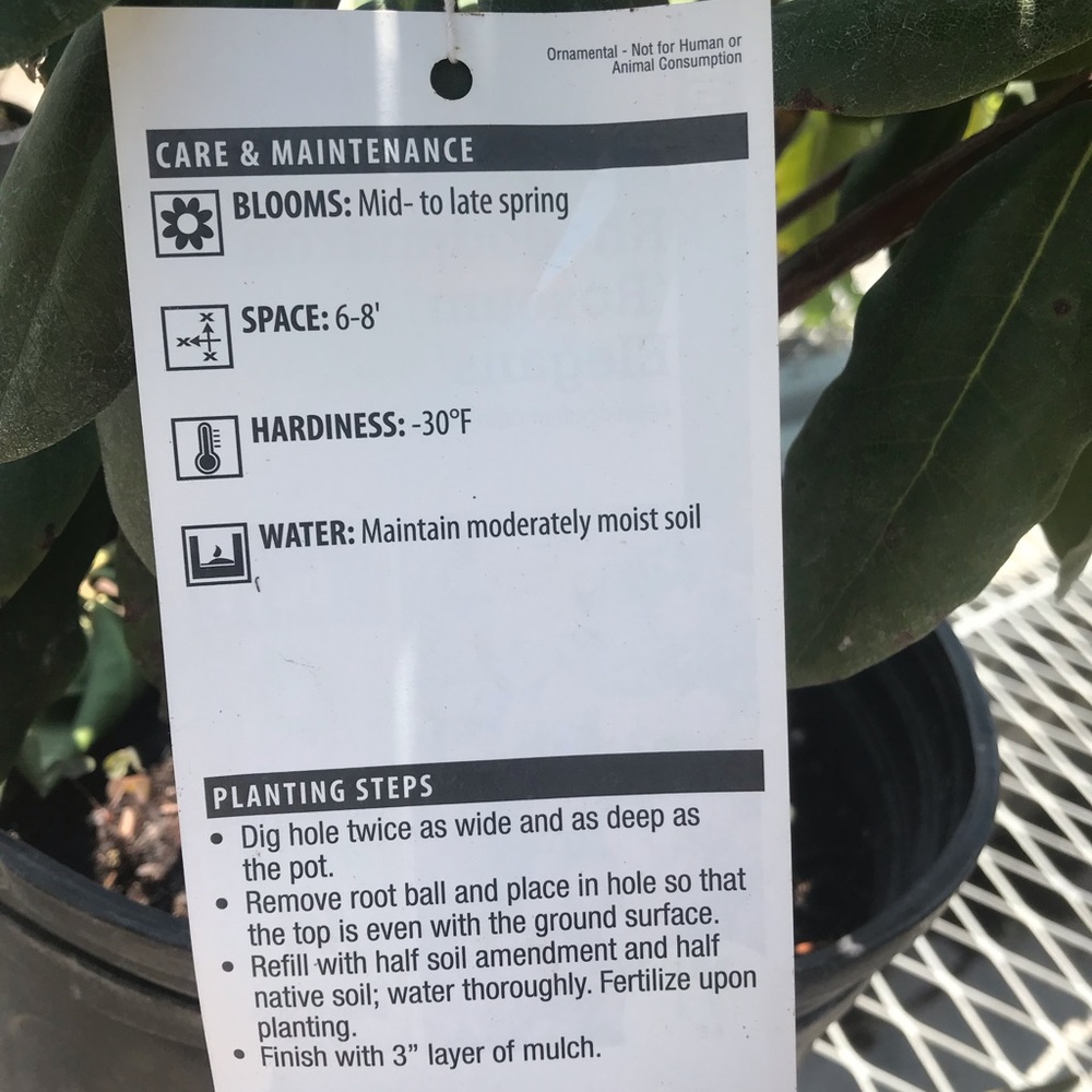 Meet your Posher, Nick